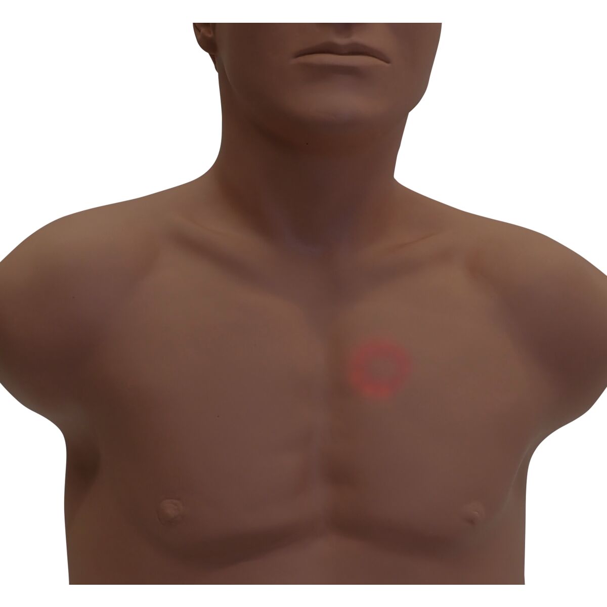 SAM4 Plus Auscultation Manikin