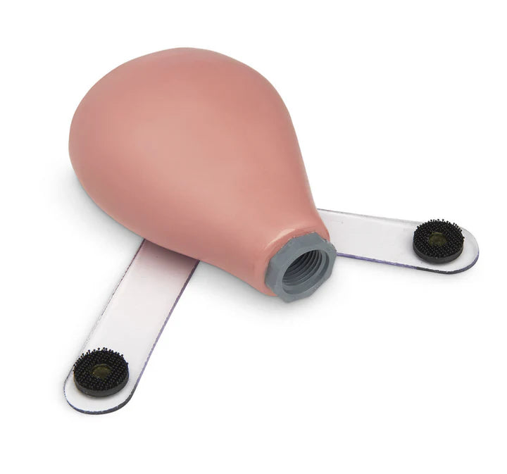 Replacement Pregnant Uterus