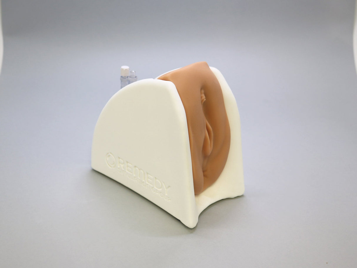 Cathi & Willi Catheterization Model Training Stand