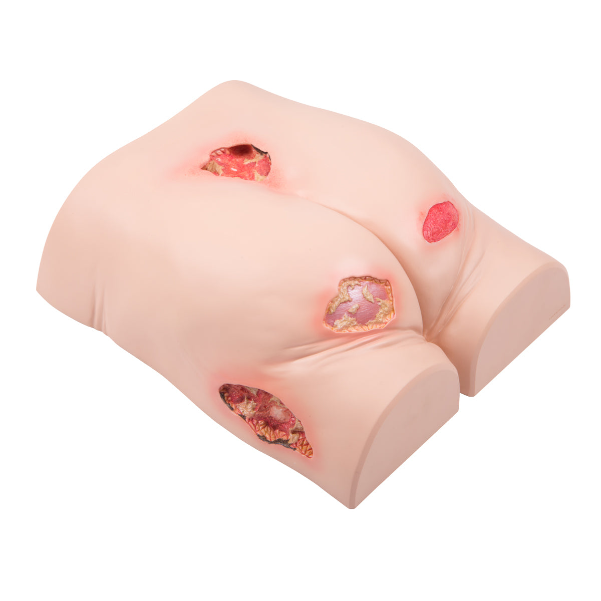 Essential Nursing Lab Kit