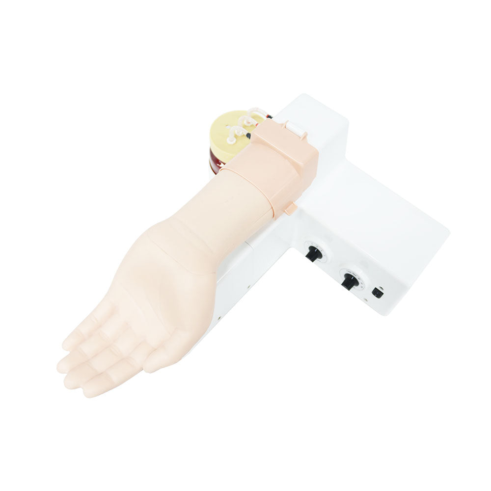 Arterial Puncture Training Model