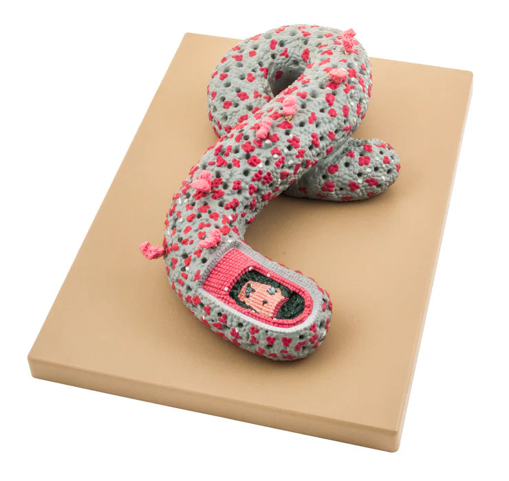 Ebola Virus 3D Model