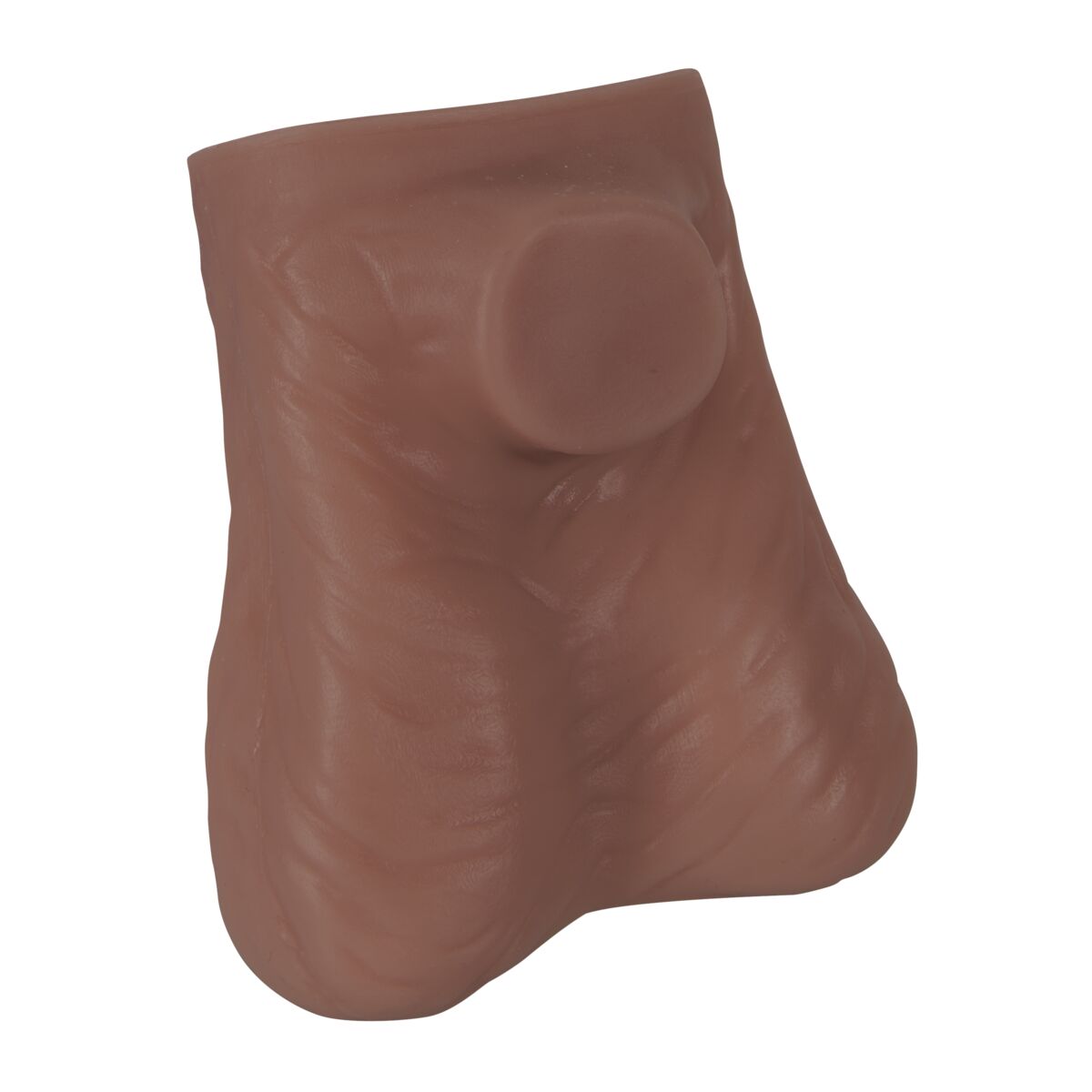Testicle Model
