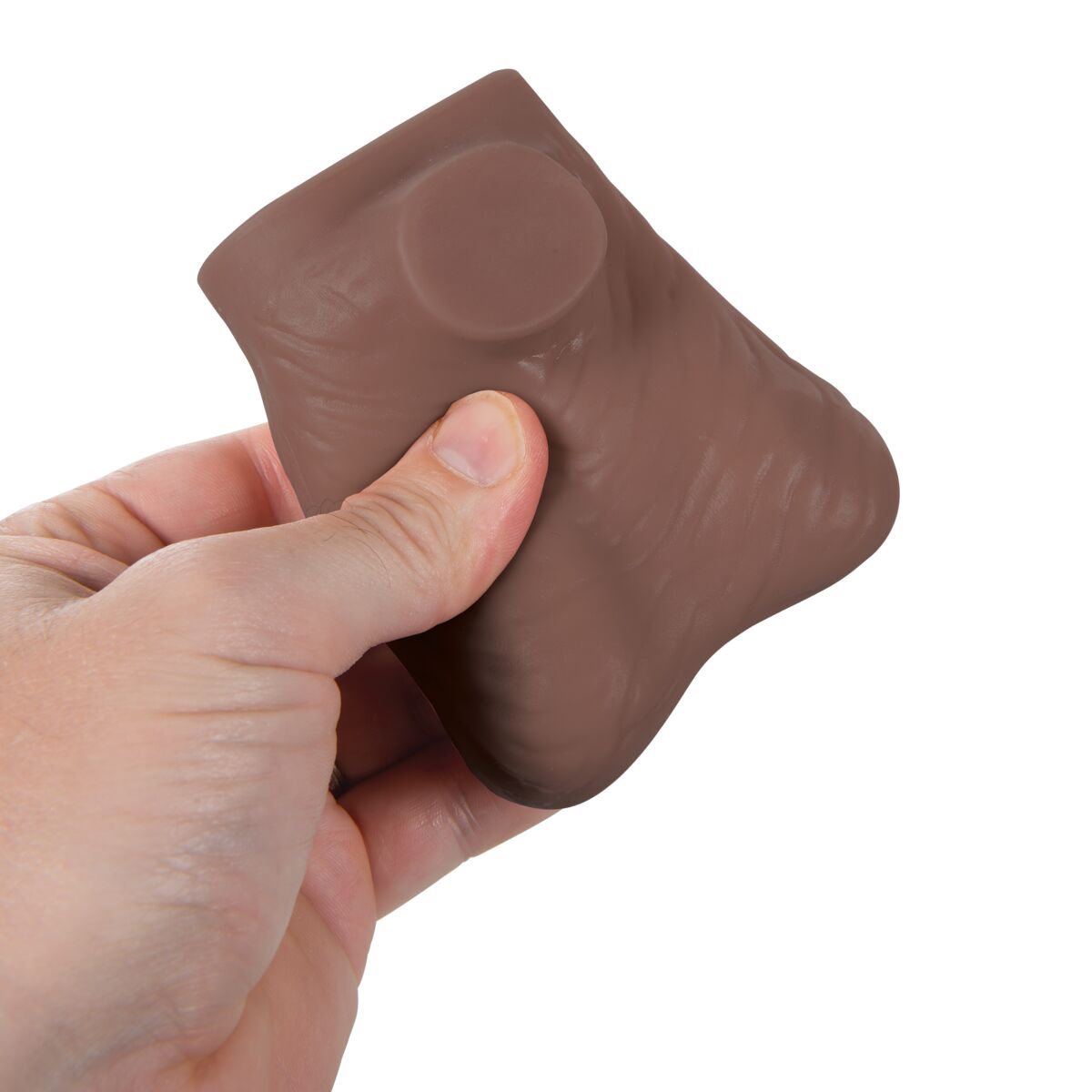 Testicle Model