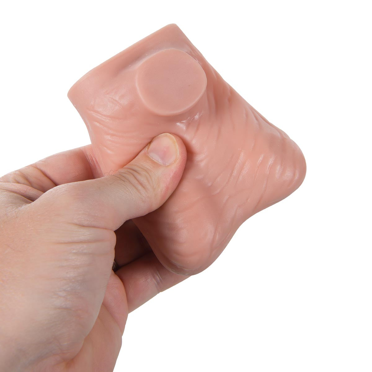 Testicle Model