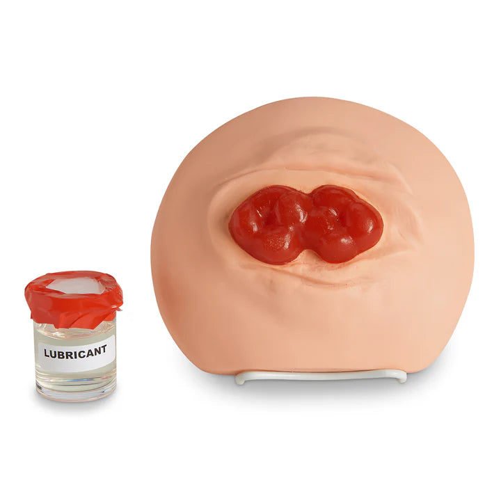 Double Barrel Ostomy Model