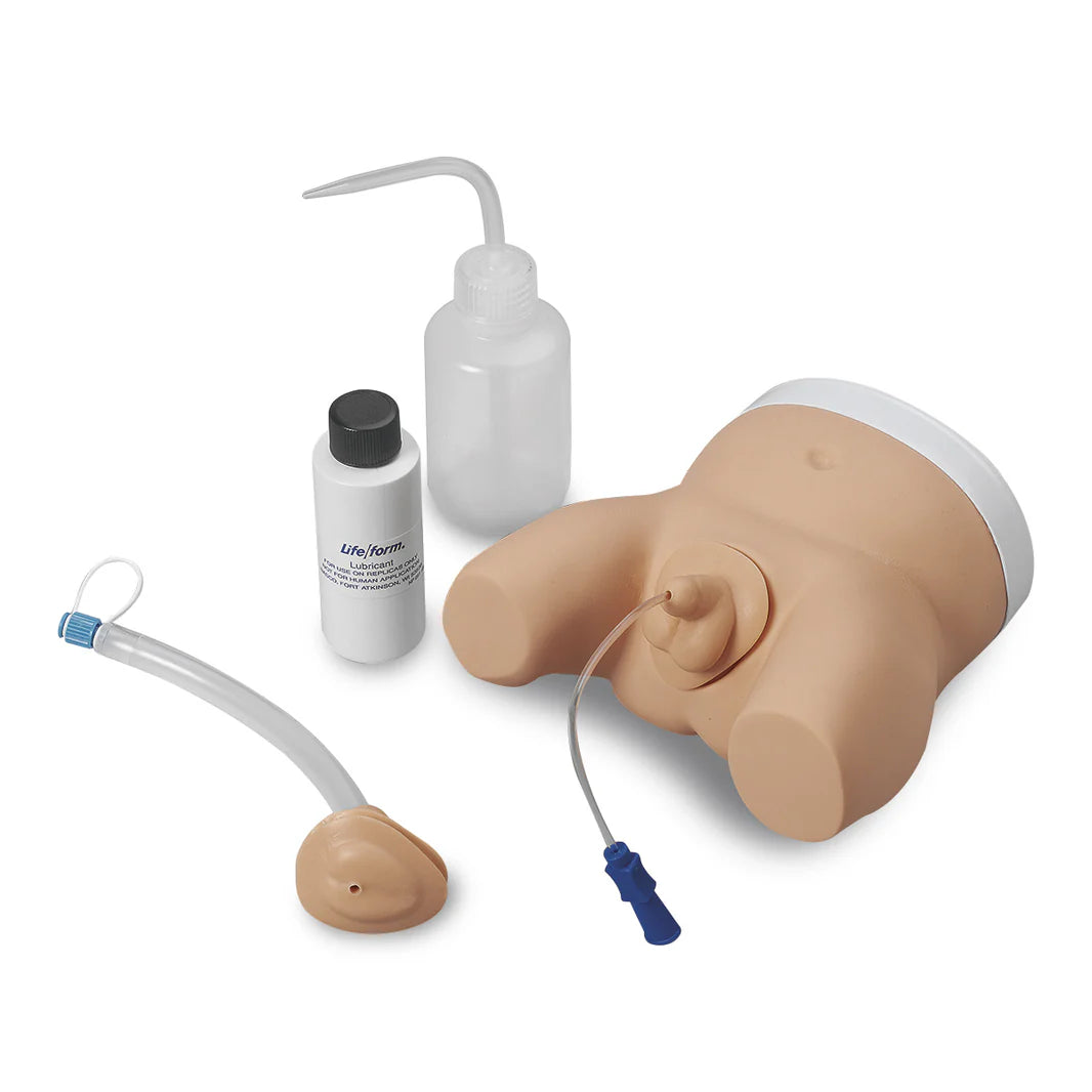 Infant Male and Female Catheterization Trainer