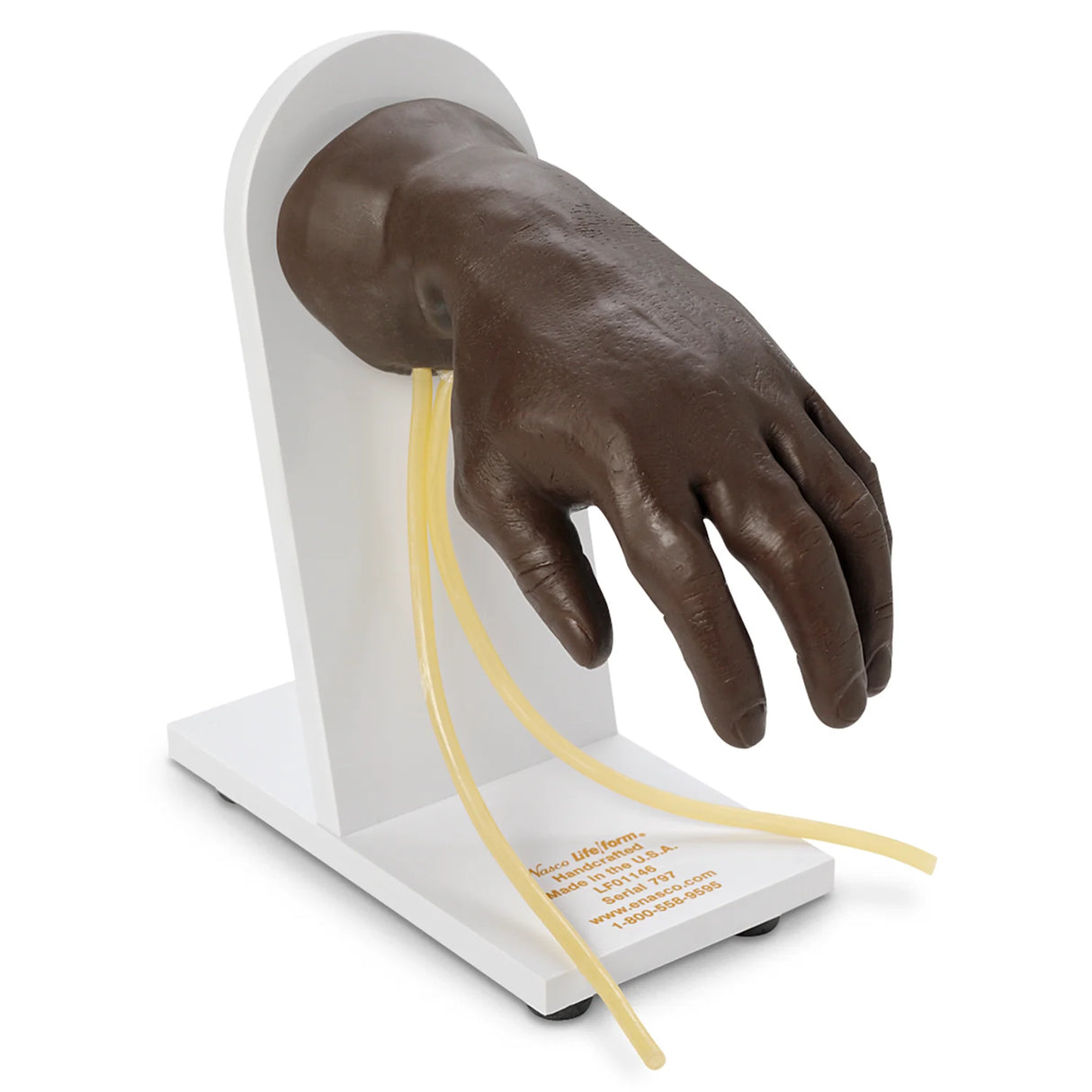 Advanced IV Hand