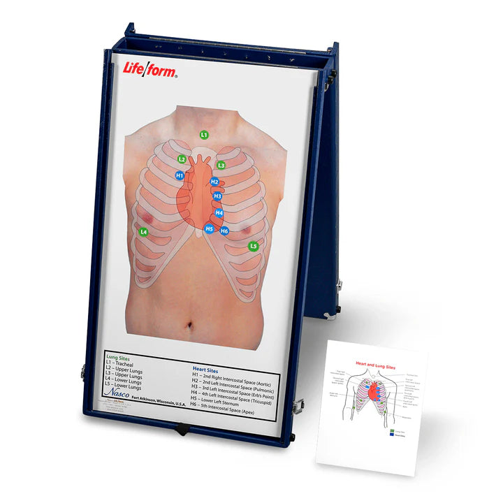 Auscultation Practice Board with Case Only