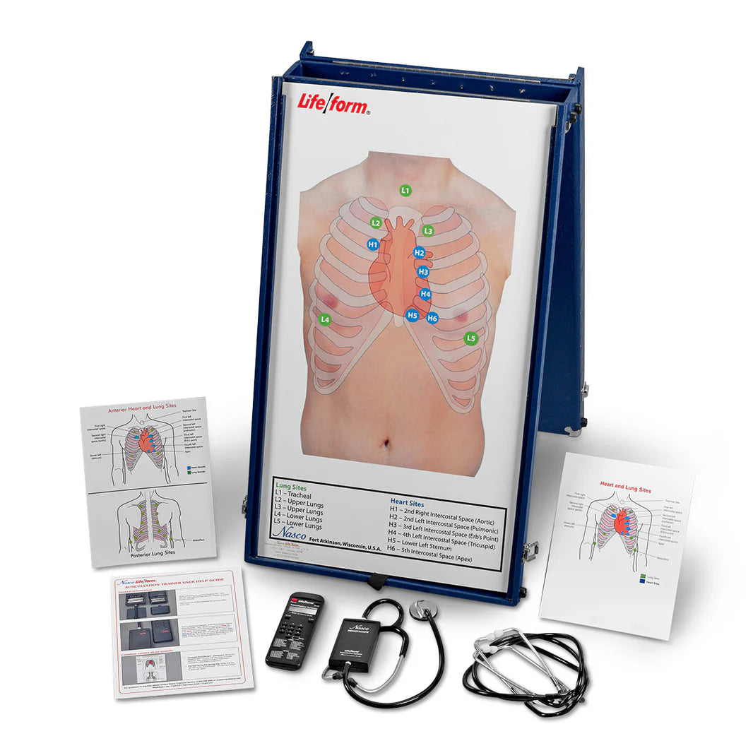 Anterior Auscultation Practice Board with Case and SmartScope