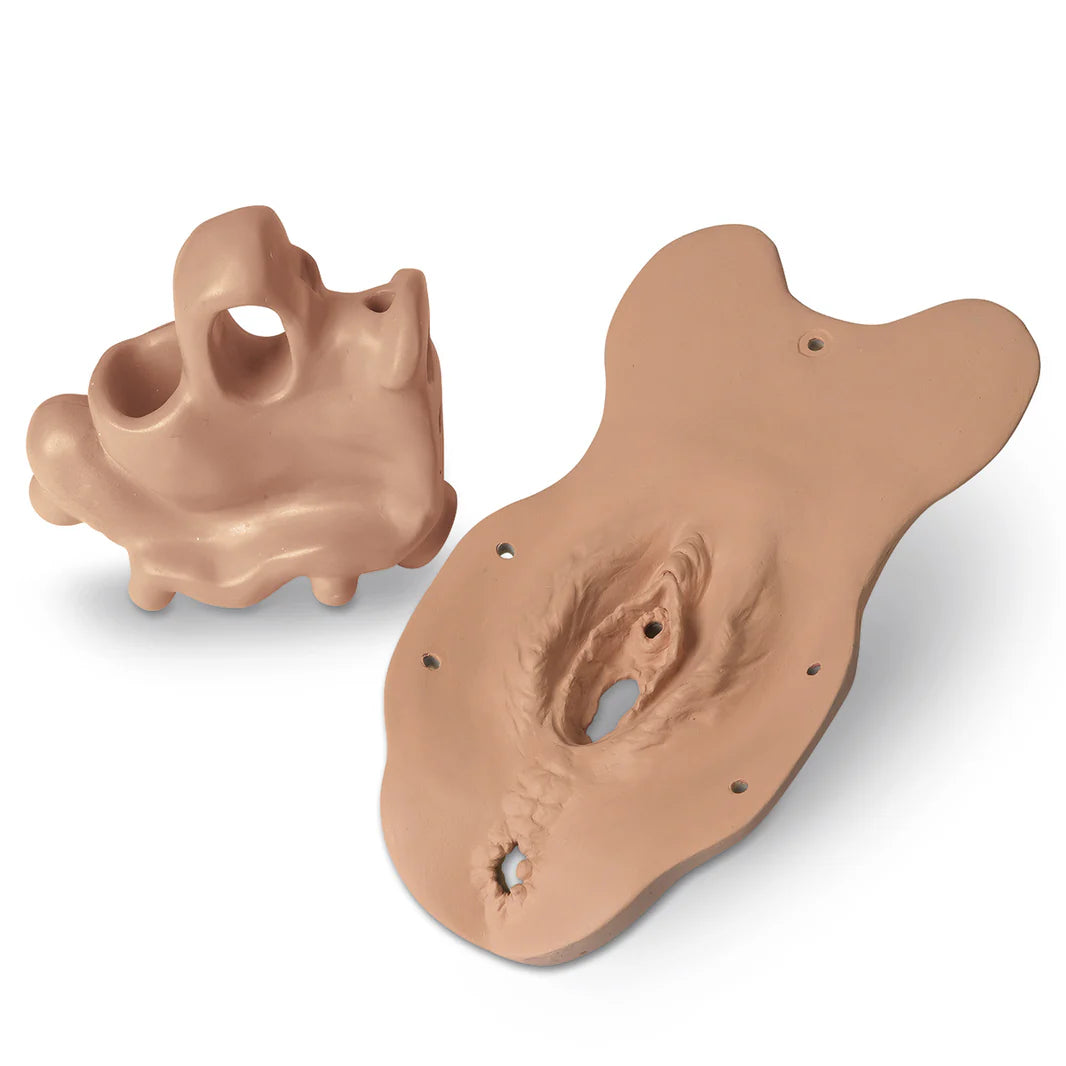 Post-Menopause Module