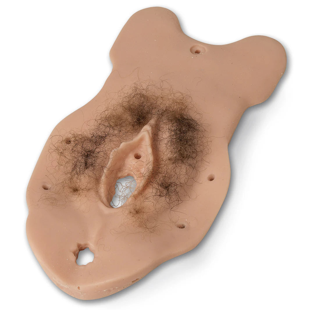 Sexual Assault Nurse Examiner (S.A.N.E.) Module