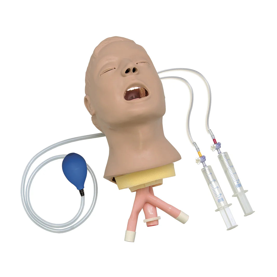 Advance Airway Larry Trainer