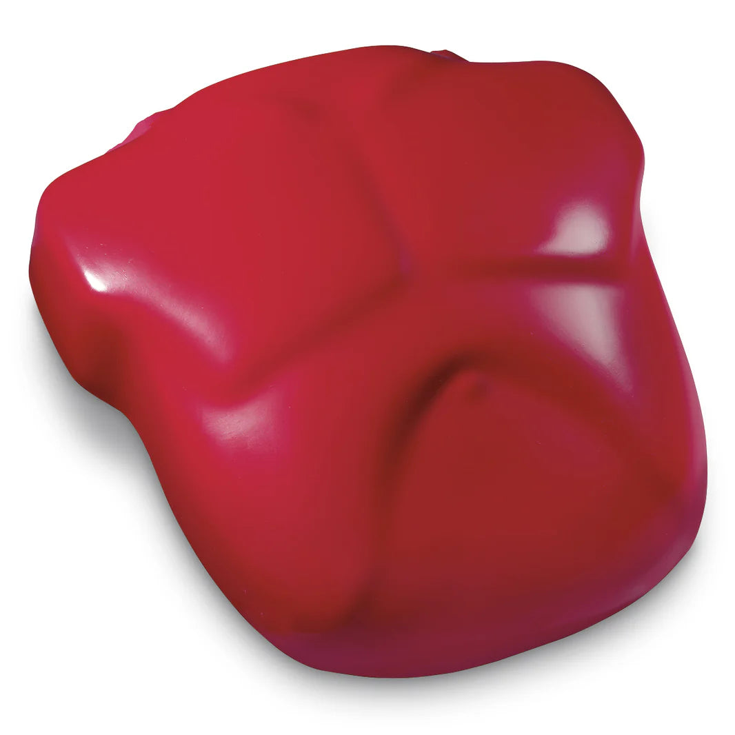 Basic Buddy® CPR Manikin - Replacement Chest