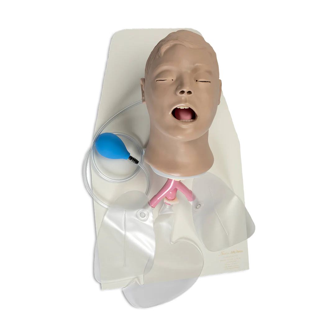 Airway Larry Adult Airway Management Trainer with Stand