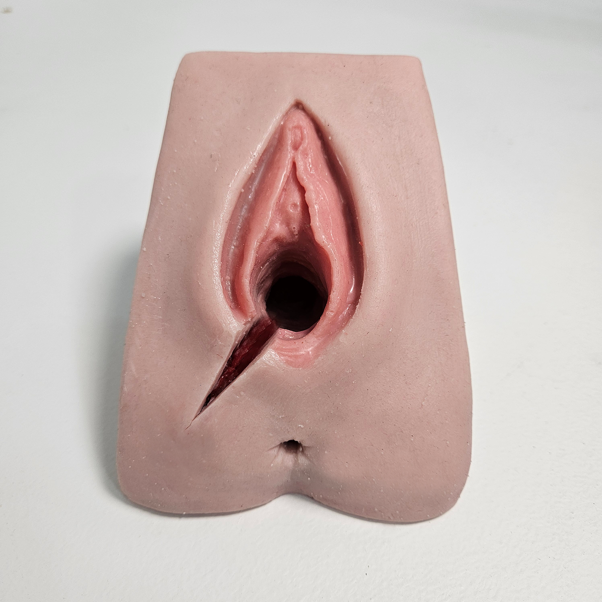 Perineal Suture Trainer