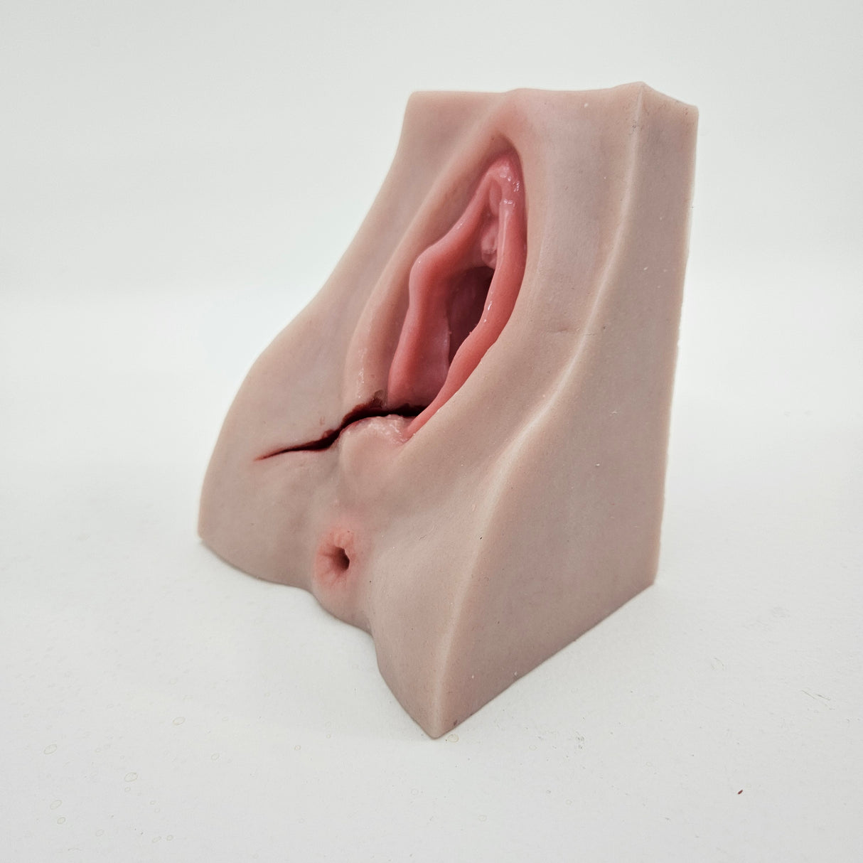 Perineal Suture Trainer