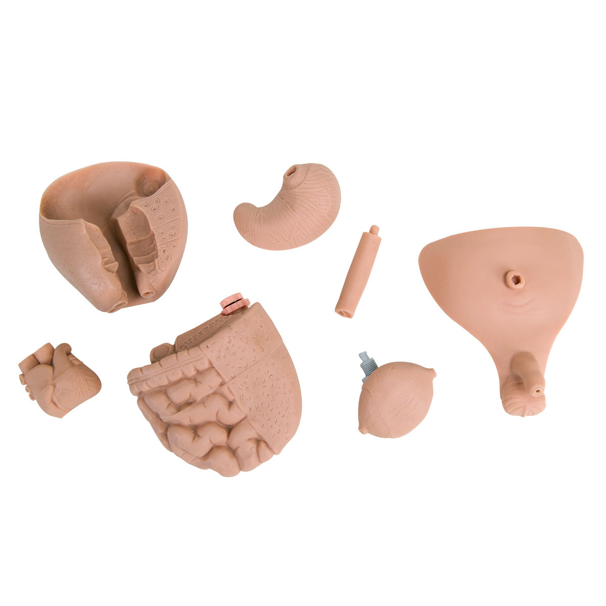 Deluxe Dual-Gender Nurse Training Baby