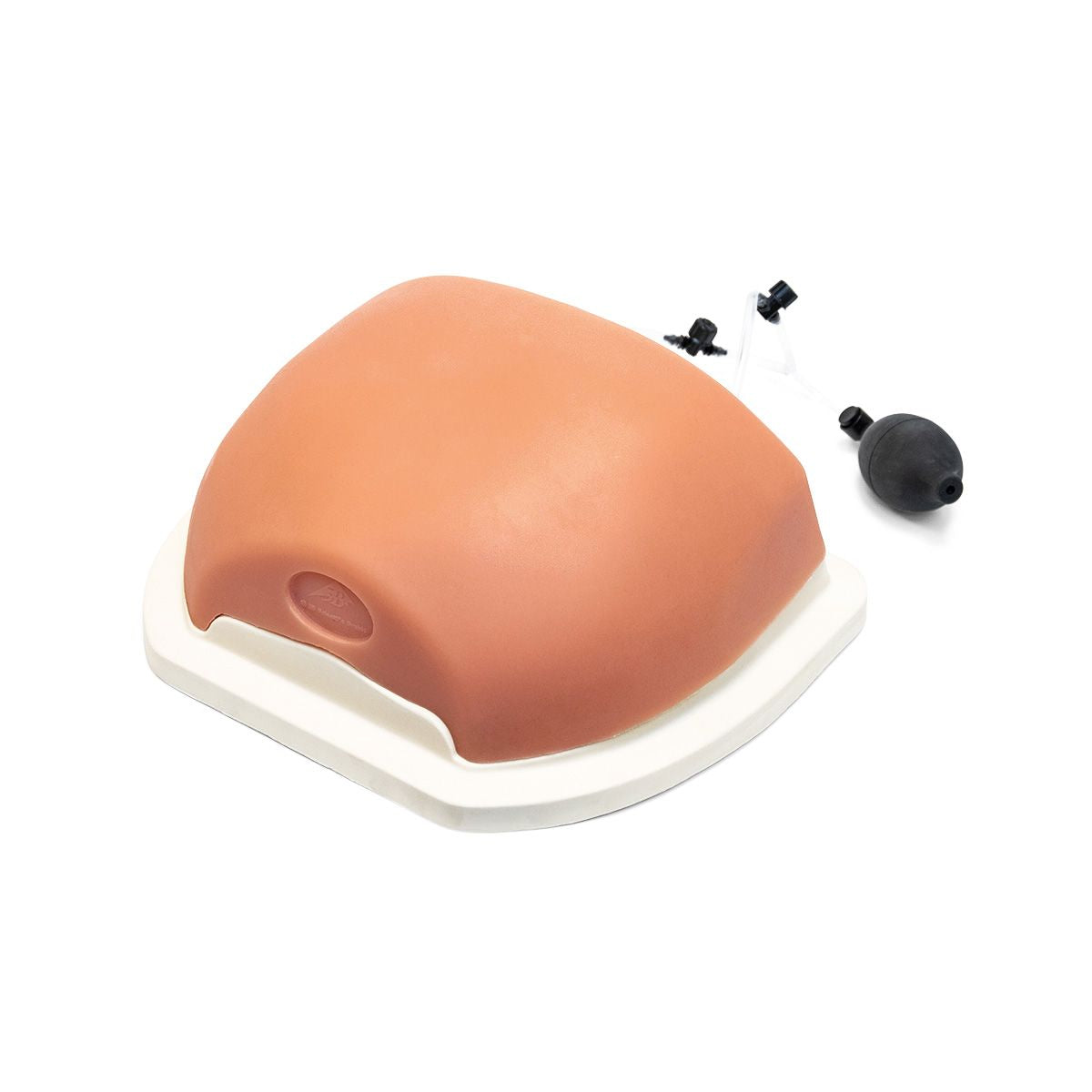 Image Guided Thoracic Spinal Injection Trainer
