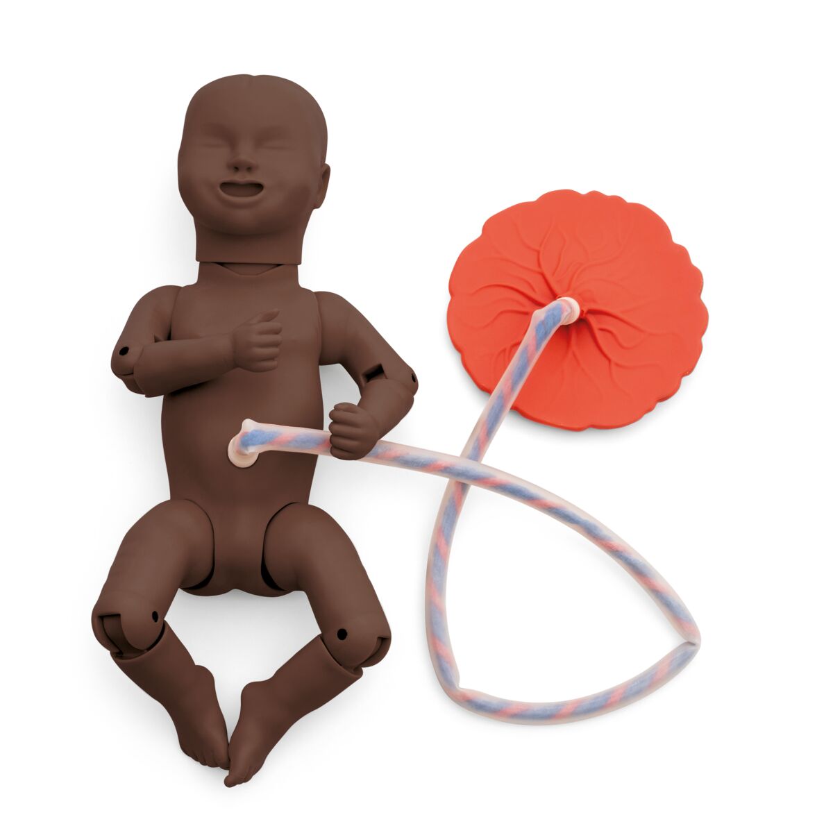 3B Birthing Simulator Basic