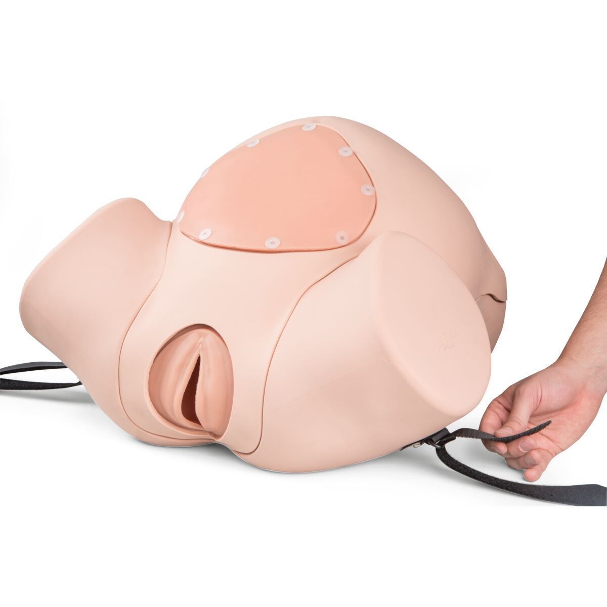 3B Birthing Simulator PRO