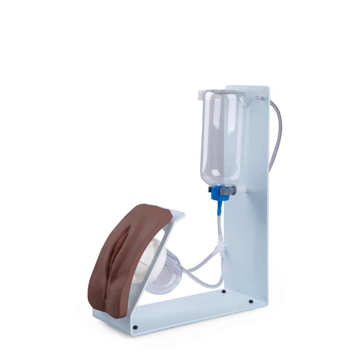 Catheterization Simulator BASIC