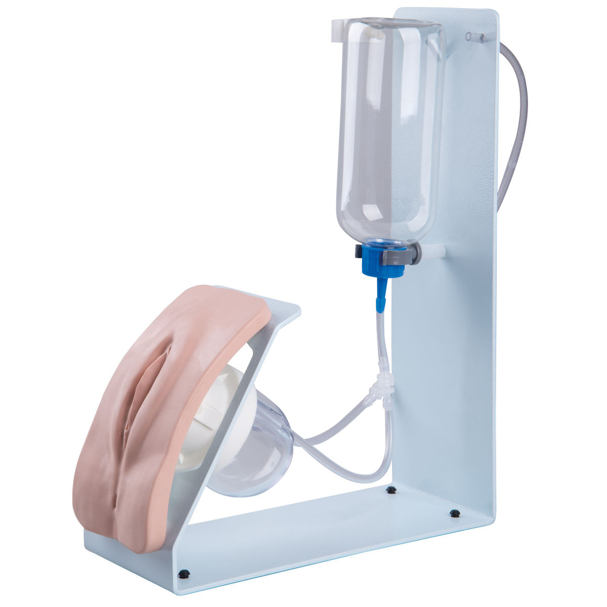Catheterization Simulator BASIC