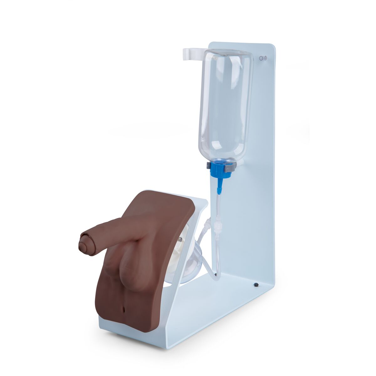 Catheterization Simulator BASIC