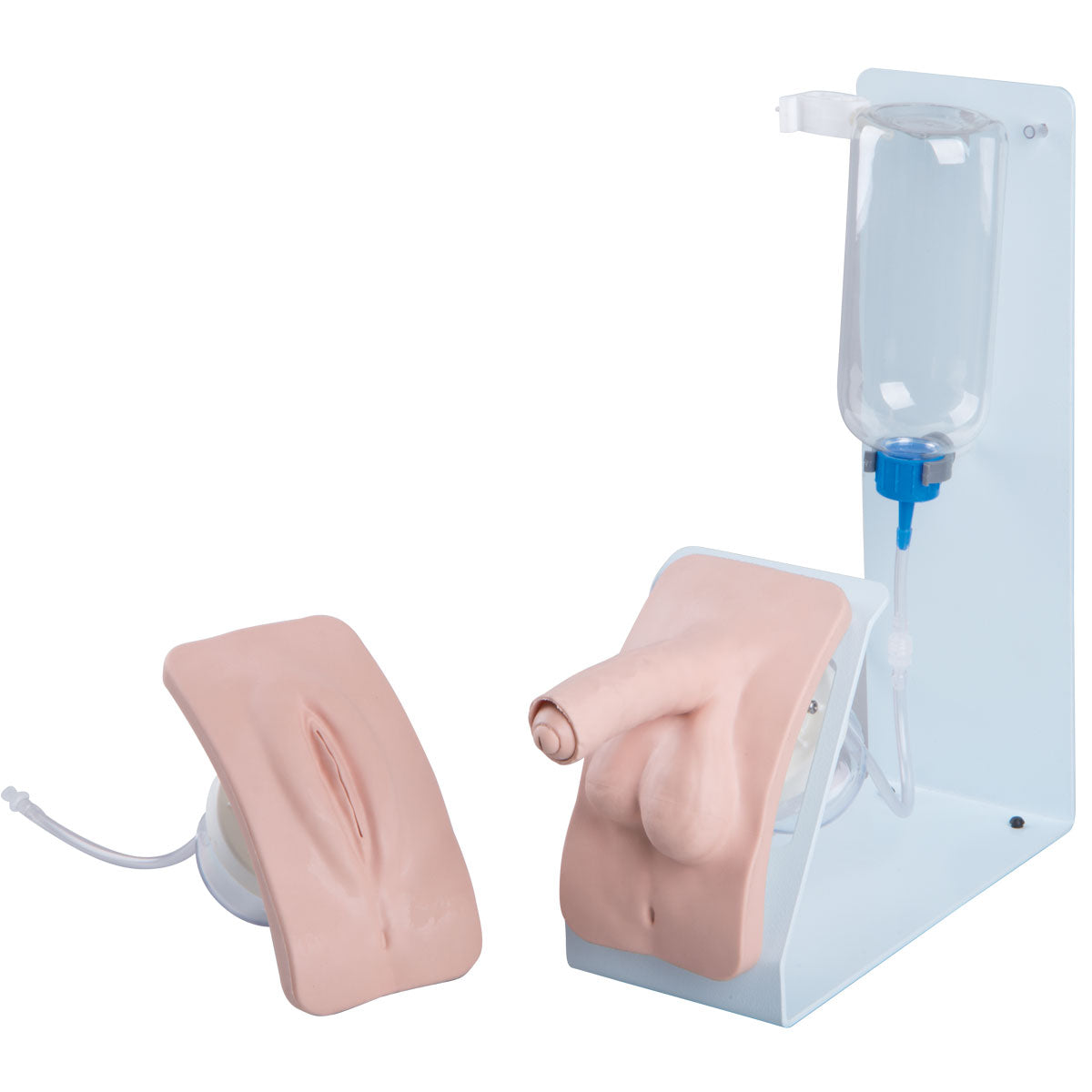 Catheterization Simulator BASIC