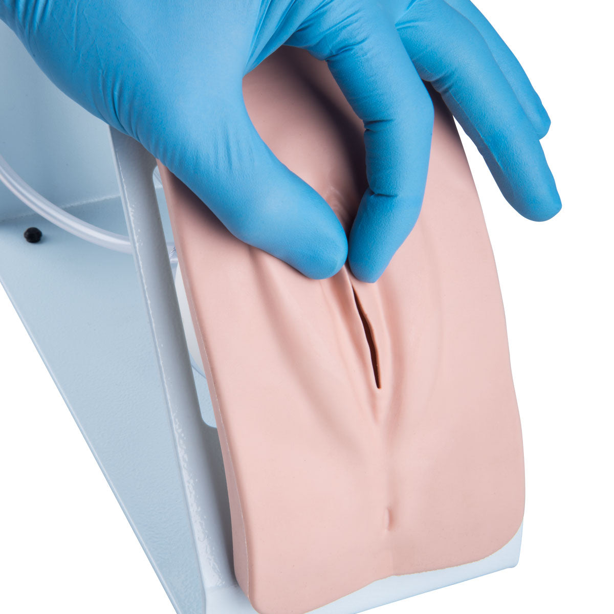 Catheterization Simulator BASIC