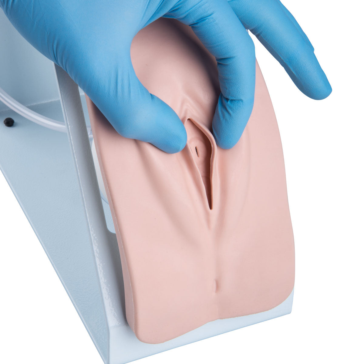 Catheterization Simulator BASIC