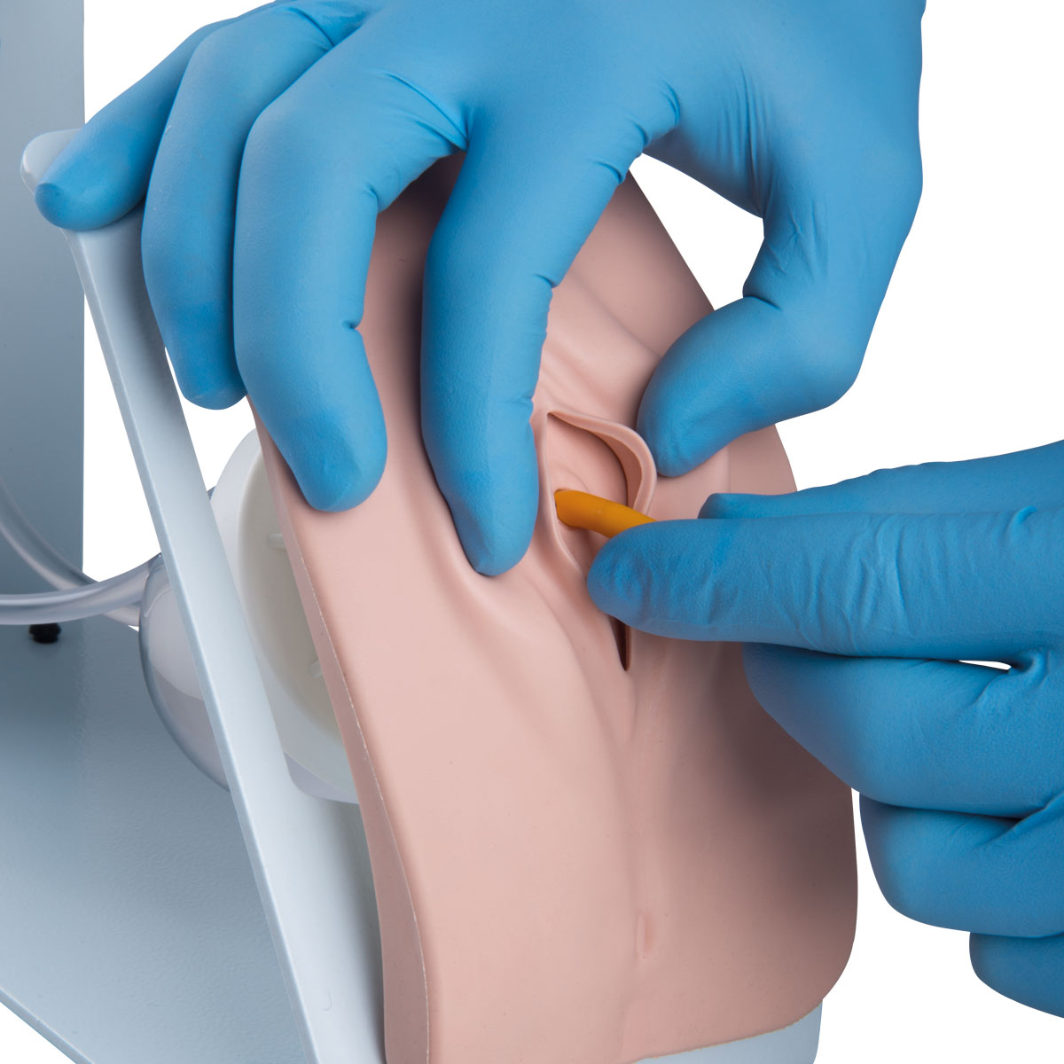 Catheterization Simulator BASIC