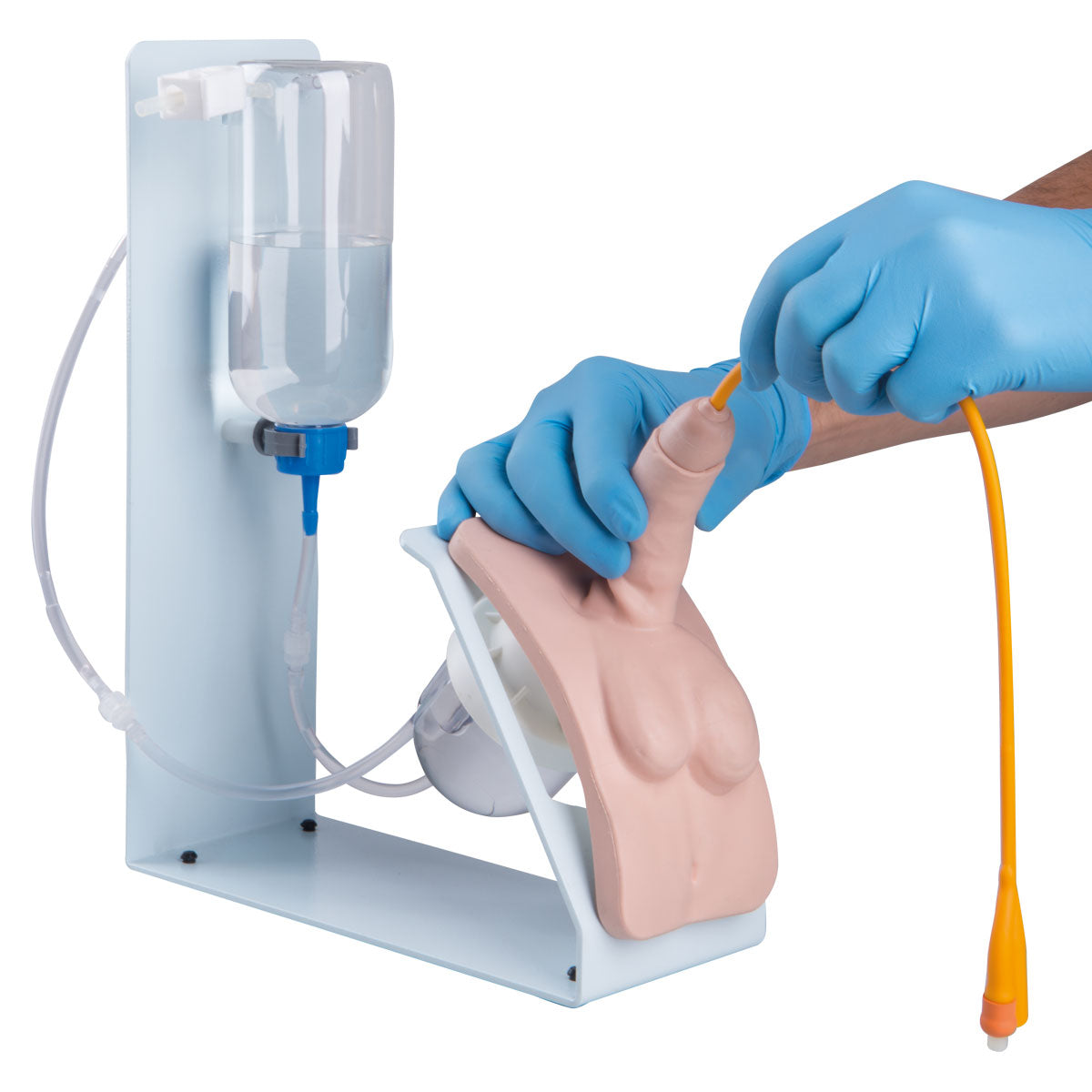 Catheterization Simulator BASIC