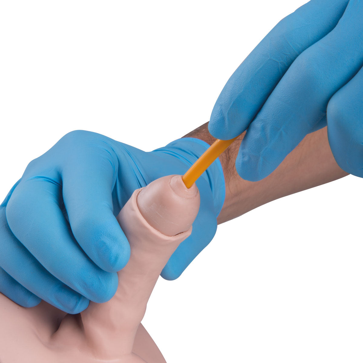 Catheterization Simulator BASIC