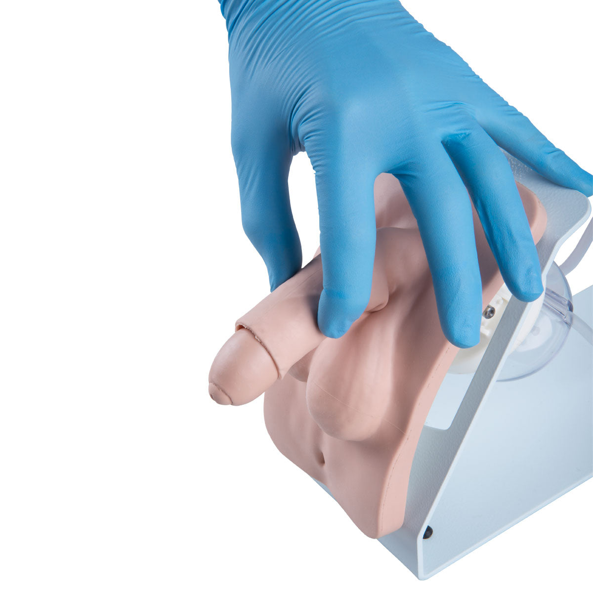 Catheterization Simulator BASIC