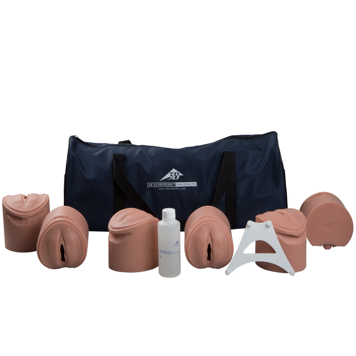 3B Birthing Stages Trainer