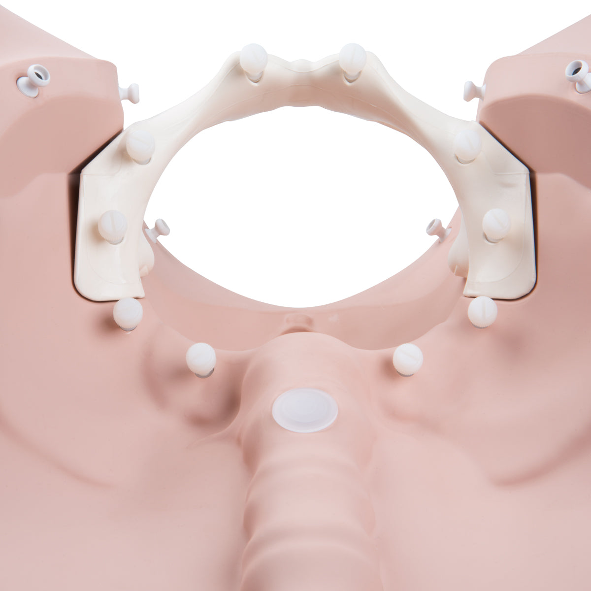 3B Birthing Stages Trainer