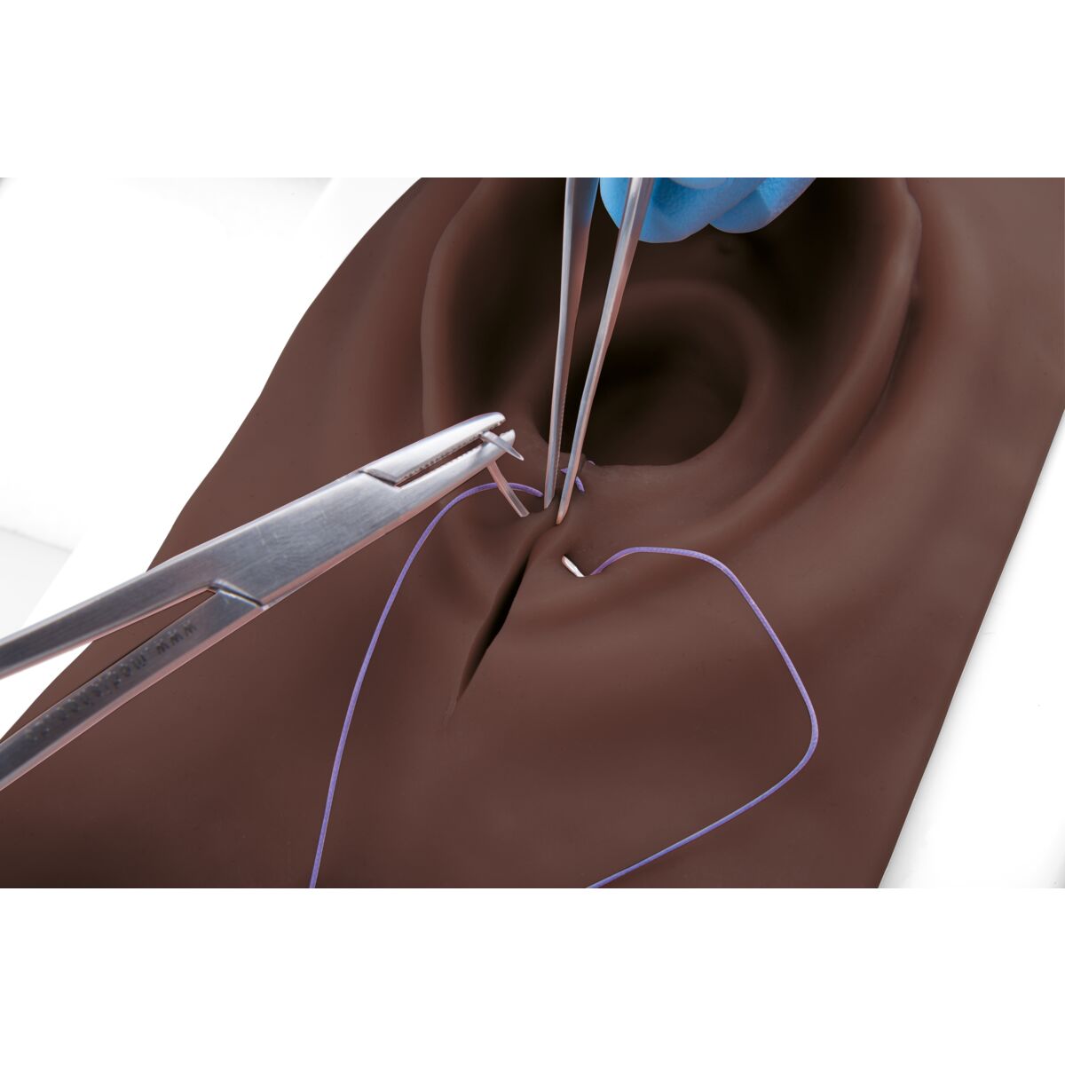 Episiotomy and Suturing Trainer
