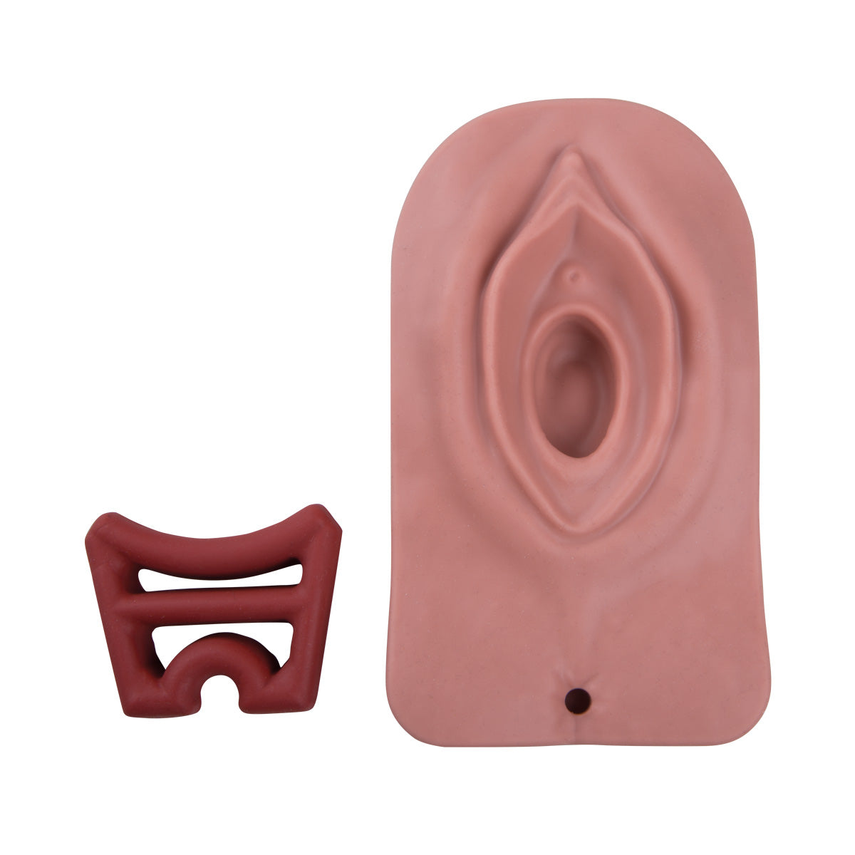 Episiotomy and Suturing Trainer