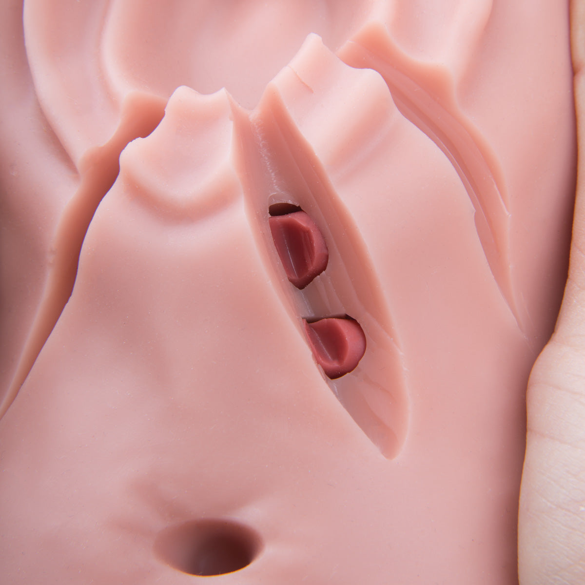 Episiotomy and Suturing Trainer