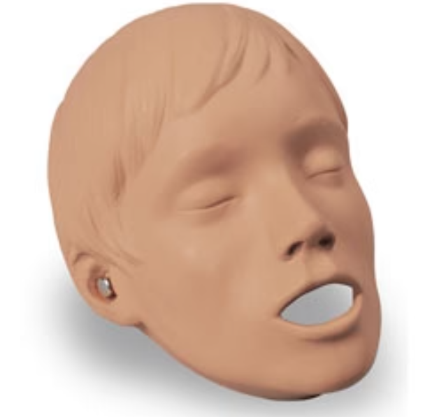 Sani Man Head Only