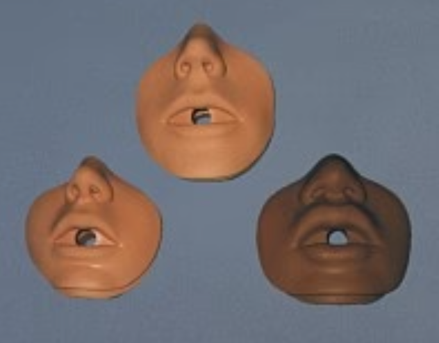 Aj/Brad Jr Face Pieces 10 Pk.
