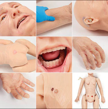 Patient Care Trainer with Chest Compression