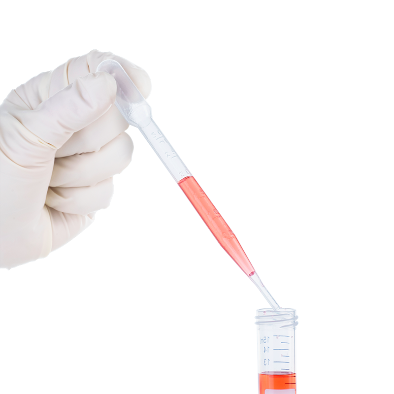 Graduated Transfer Pipettes