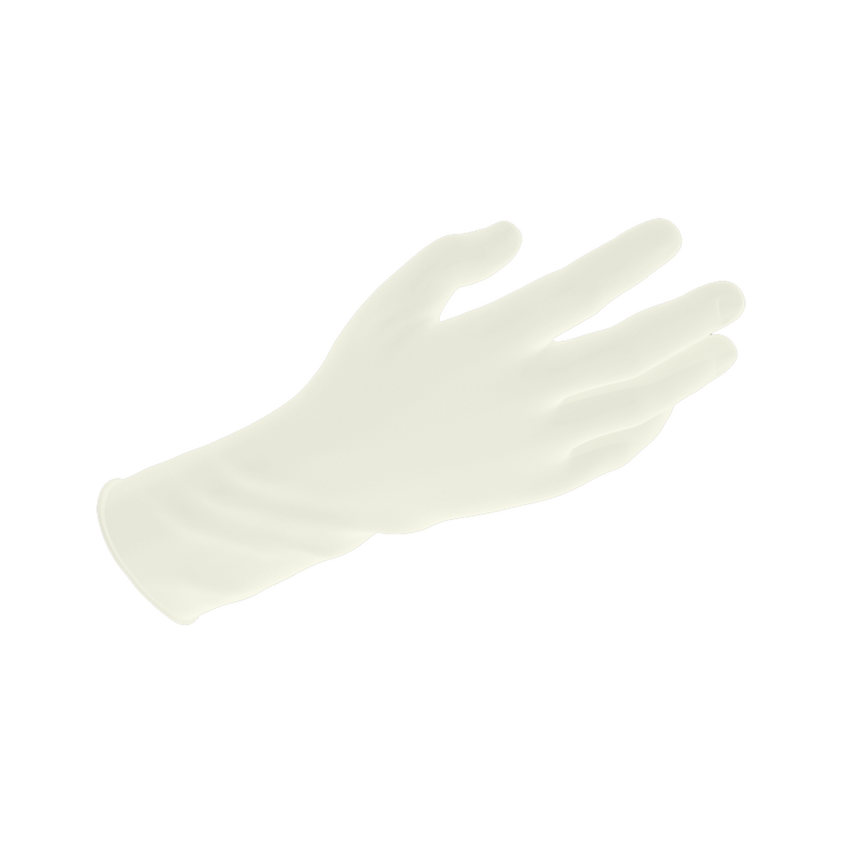 Vinyl Gloves in a Bag, Powder-Free