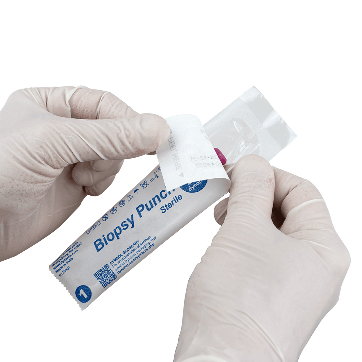 Biopsy Punches