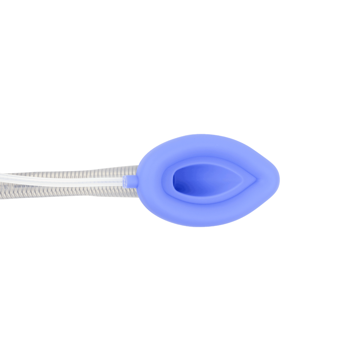 Laryngeal Mask Airways