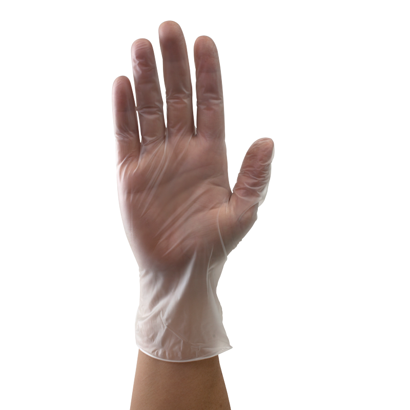 Vinyl Gloves in a Bag, Powder-Free