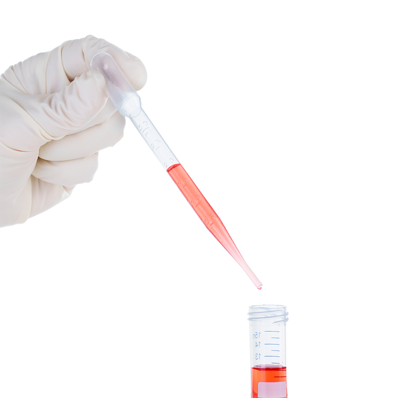 Graduated Transfer Pipettes