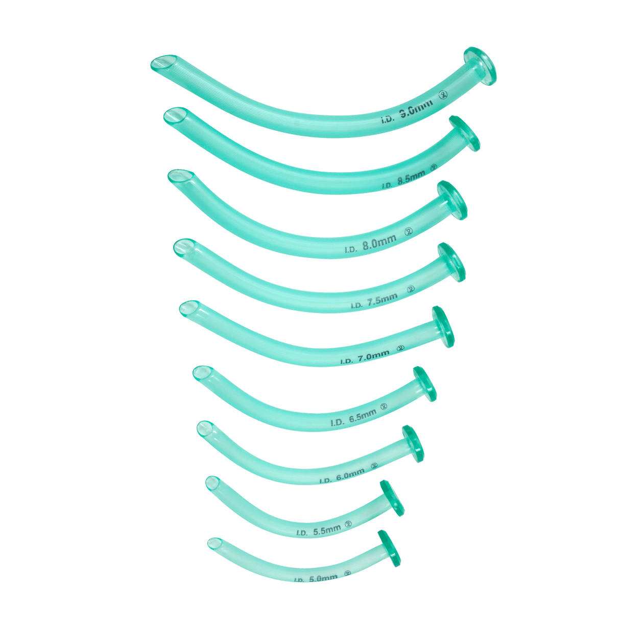 Nasopharyngeal Airways & Kits